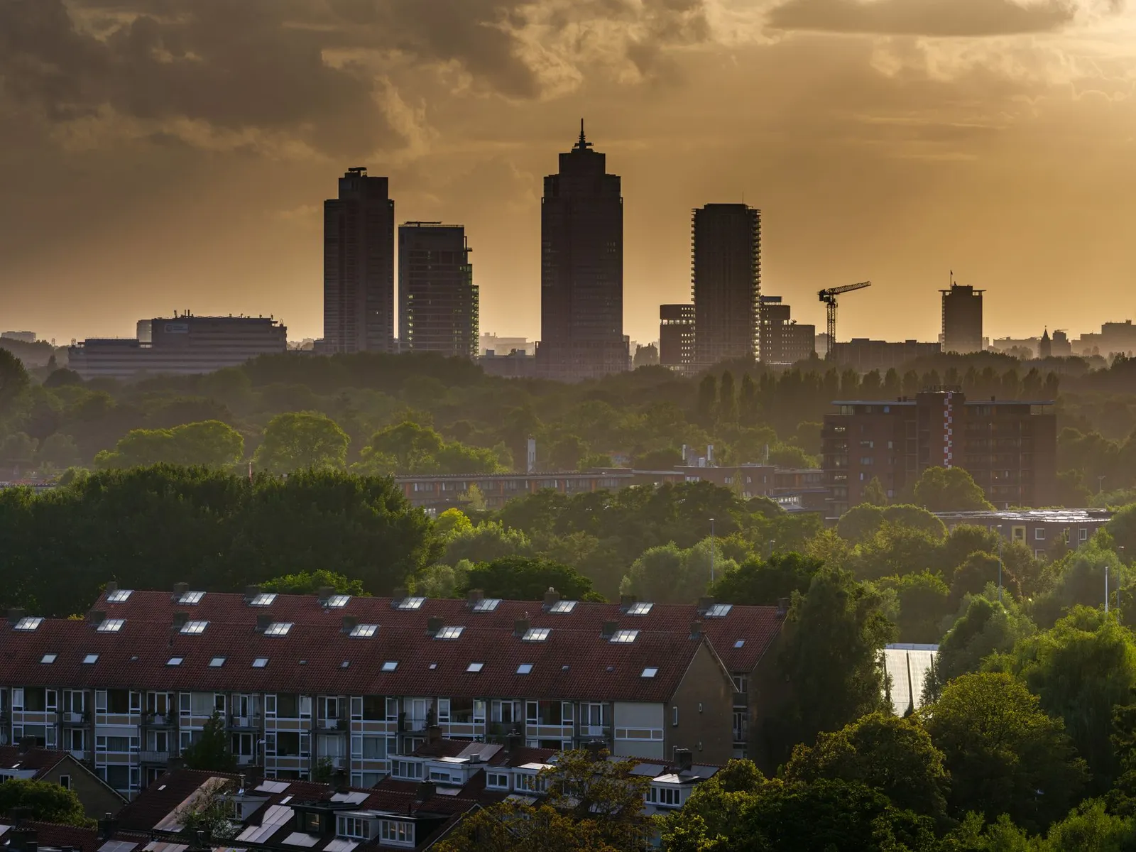 Stunning view of Amsterdam's Zuidas skyline during golden hour with dramatic skies.