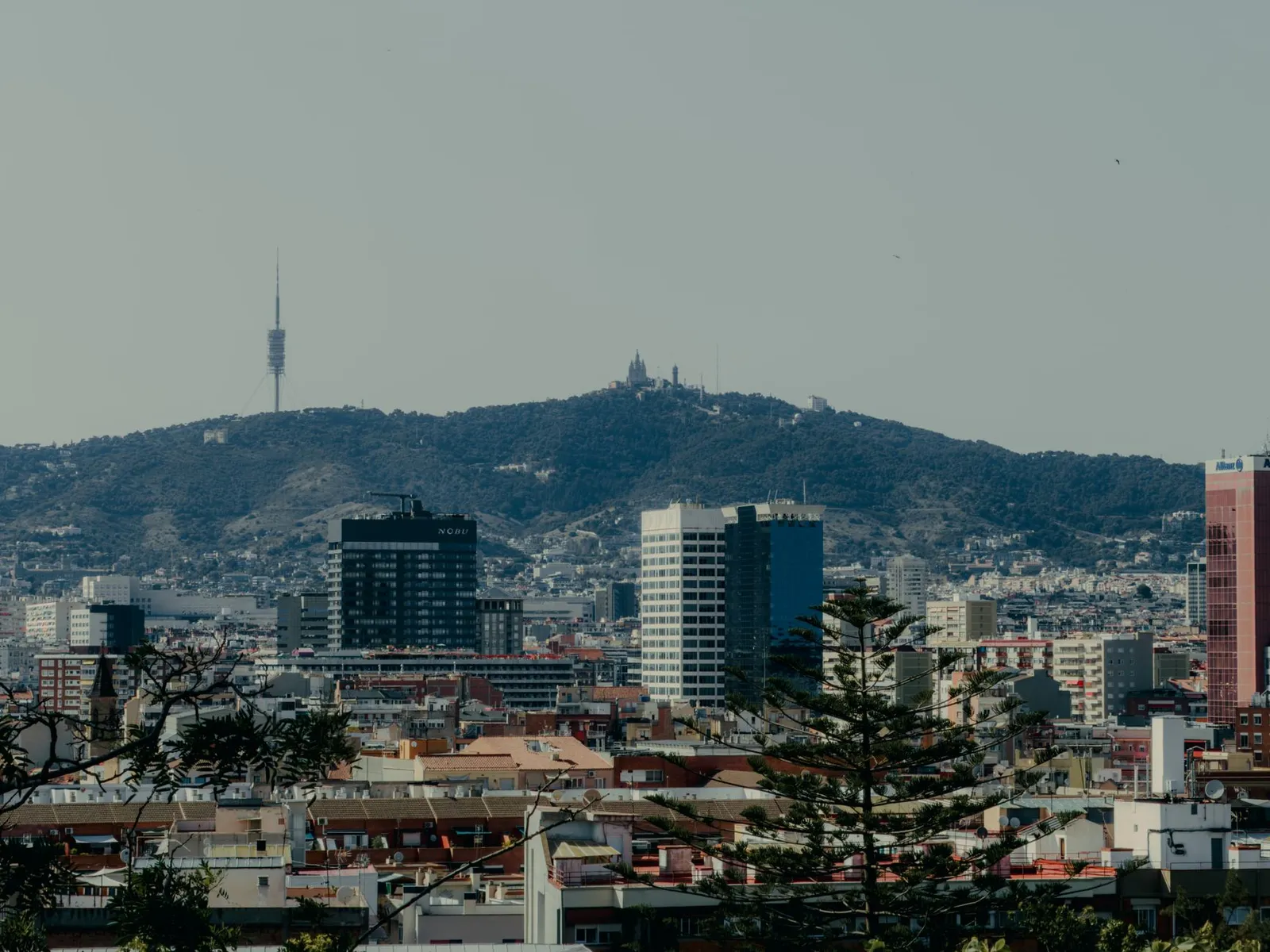 Scenic view of Barcelona skyline featuring Tibidabo Mountain and Collserola Tower.