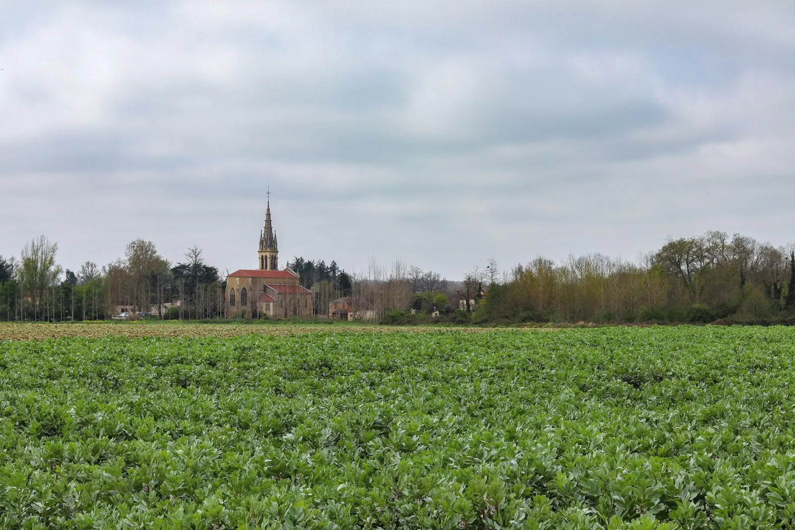 Peaceful church steeple surrounded by lush green fields in Saint-Michel, France.
