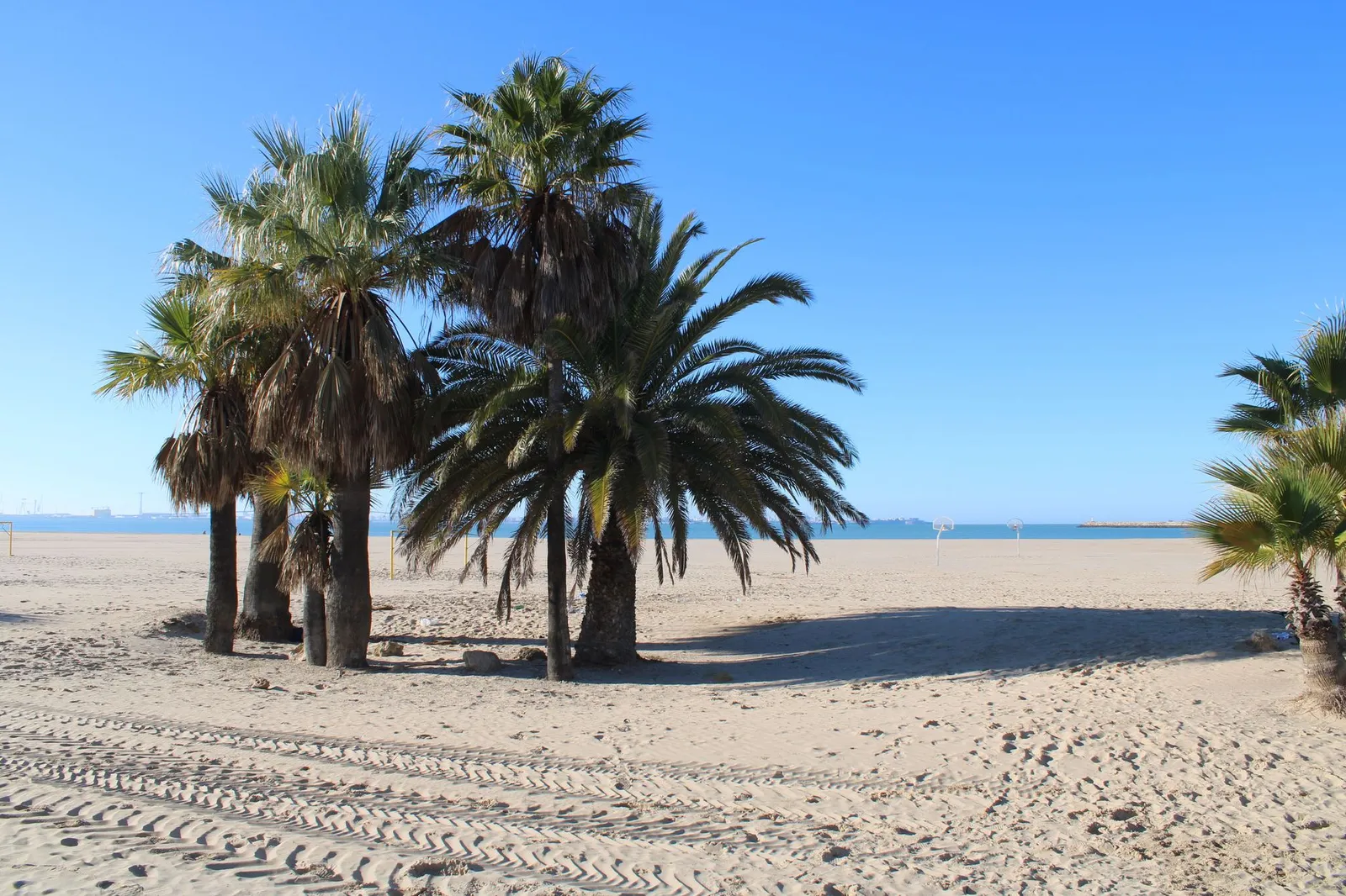 Tranquil beach scene with palm trees in El Puerto de Santa María, perfect summer vibe.