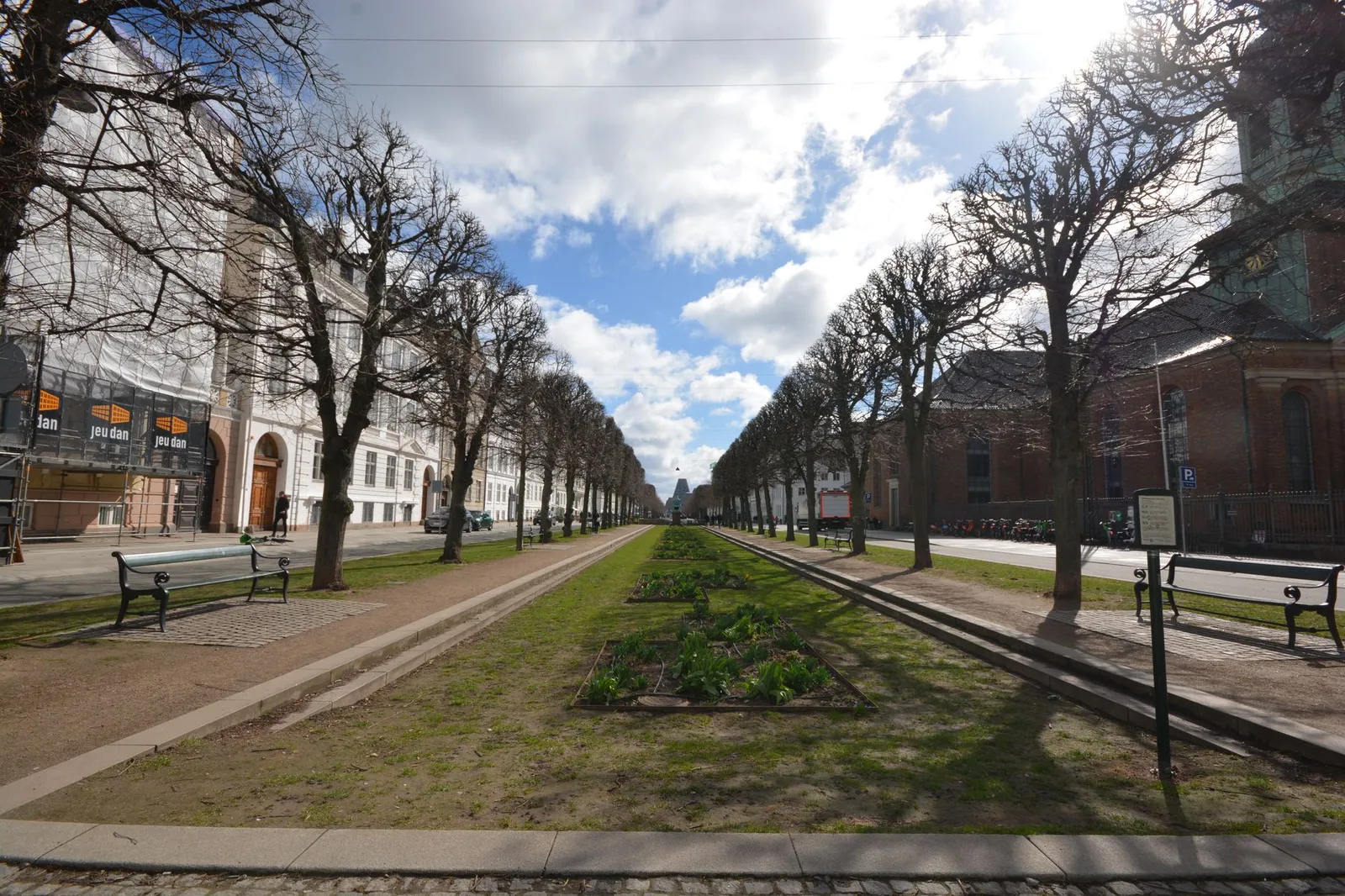 A scenic view of a symmetrical park avenue in Copenhagen, lined with bare trees under a bright sky.