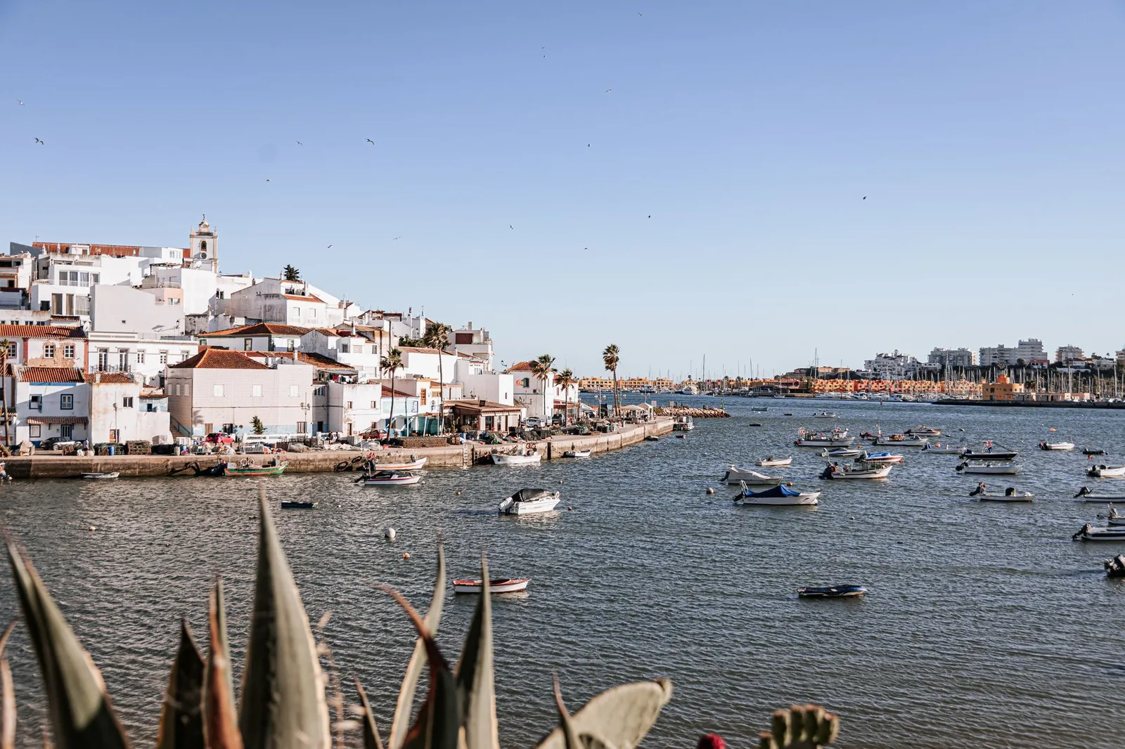 Scenic view of boats and colorful buildings along the waterfront in Ferragudo, Portugal.