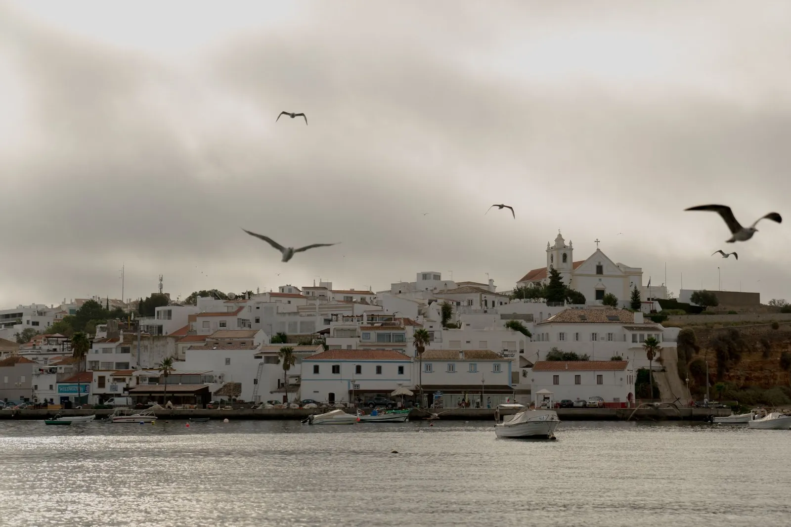 Charming coastal view of Ferragudo, Portugal with seagulls soaring over traditional architecture.