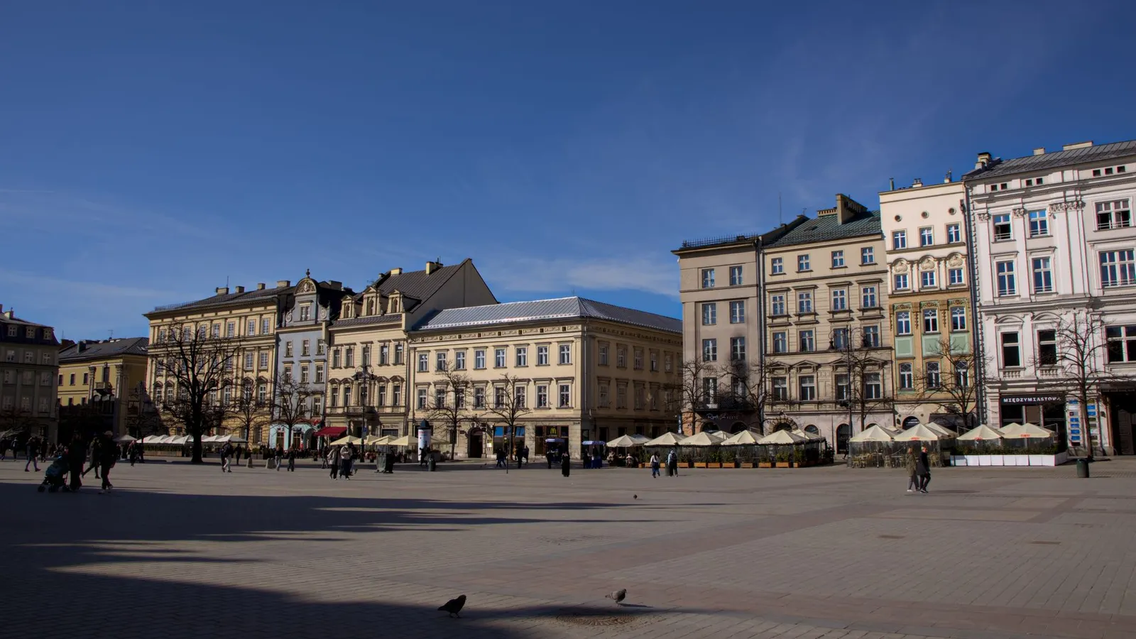 Explore the historic buildings in Kraków's vibrant Main Square on a sunny day.