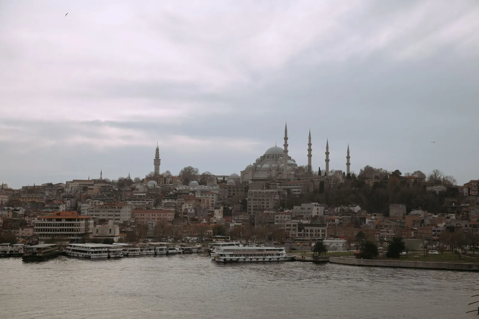 Scenic view of the Süleymaniye Mosque with the Istanbul skyline and riverfront in Turkey.