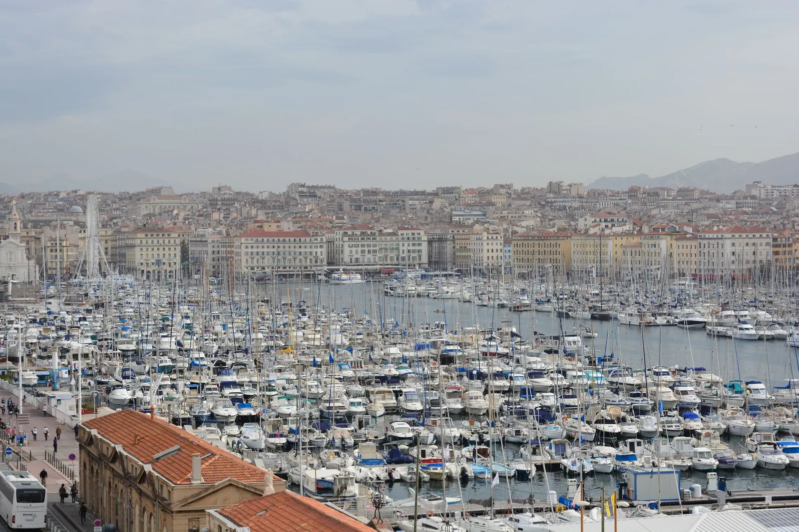 Explore a vibrant coastal marina filled with sailboats against a city backdrop.