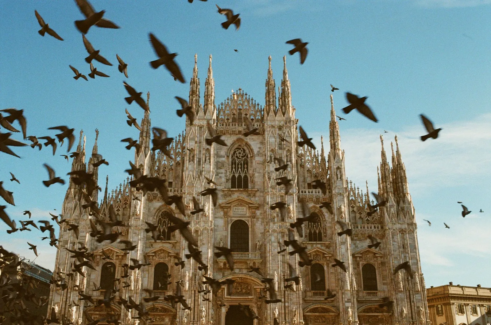 A stunning view of the iconic Milan Cathedral with birds flying against a clear blue sky.