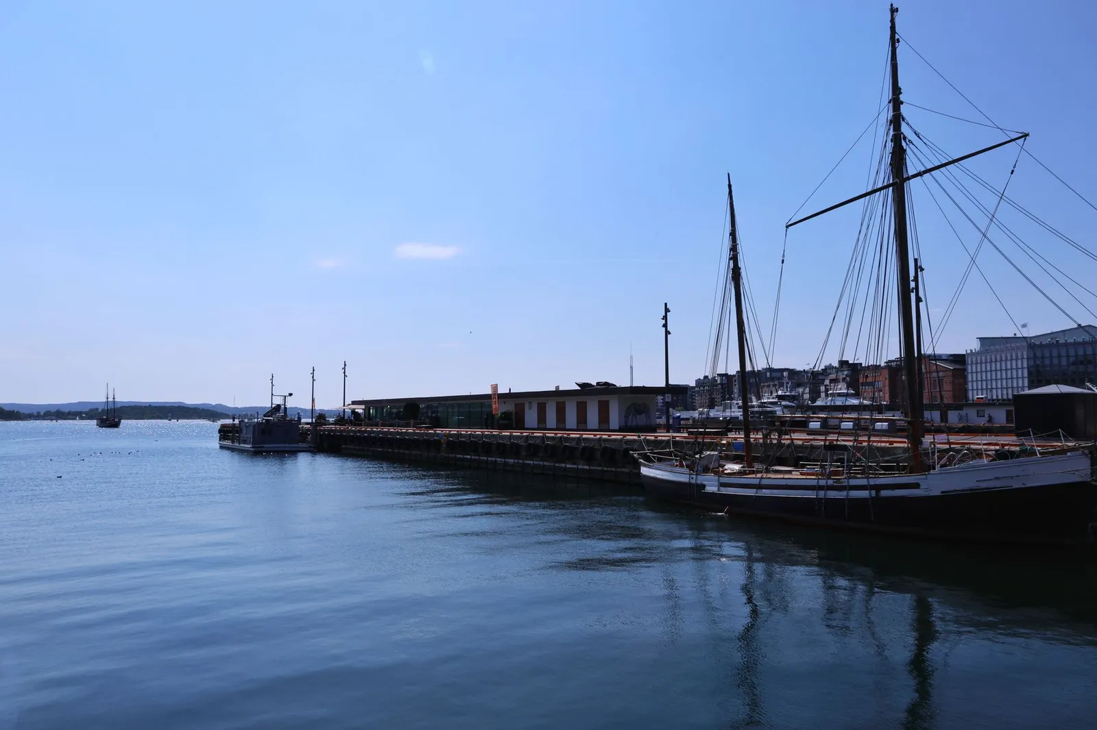 Sailboats anchored at Oslo marina on a clear summer day, showcasing serene waters and blue skies.