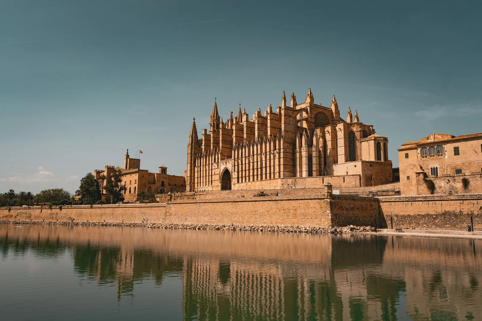 Stunning view of the Palma de Mallorca Cathedral reflecting in a serene pond under a clear sky.