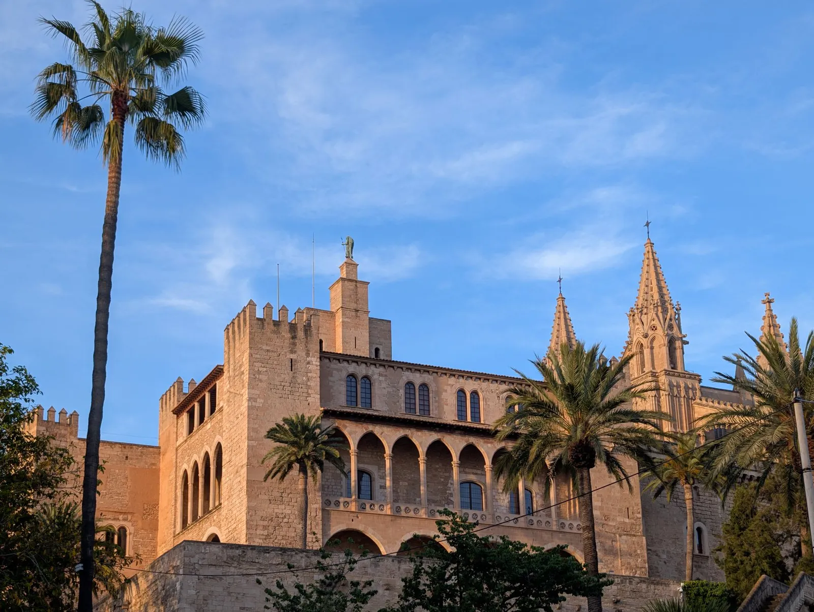 Scenic view of the stunning Gothic architecture in Palma de Mallorca, Spain, with palm trees and clear skies.