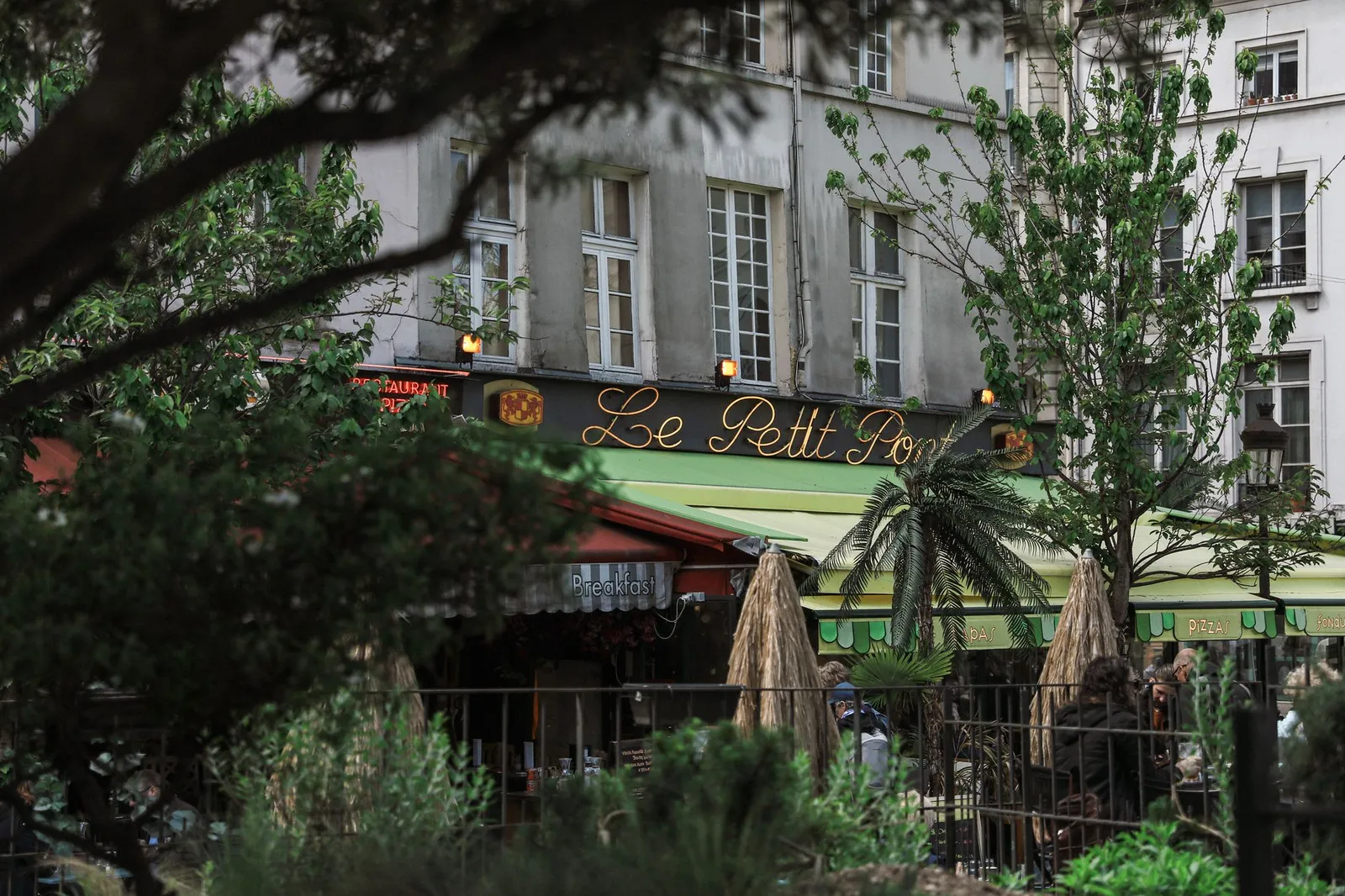 A cozy Parisian cafe with vibrant greenery, perfect for an urban retreat.