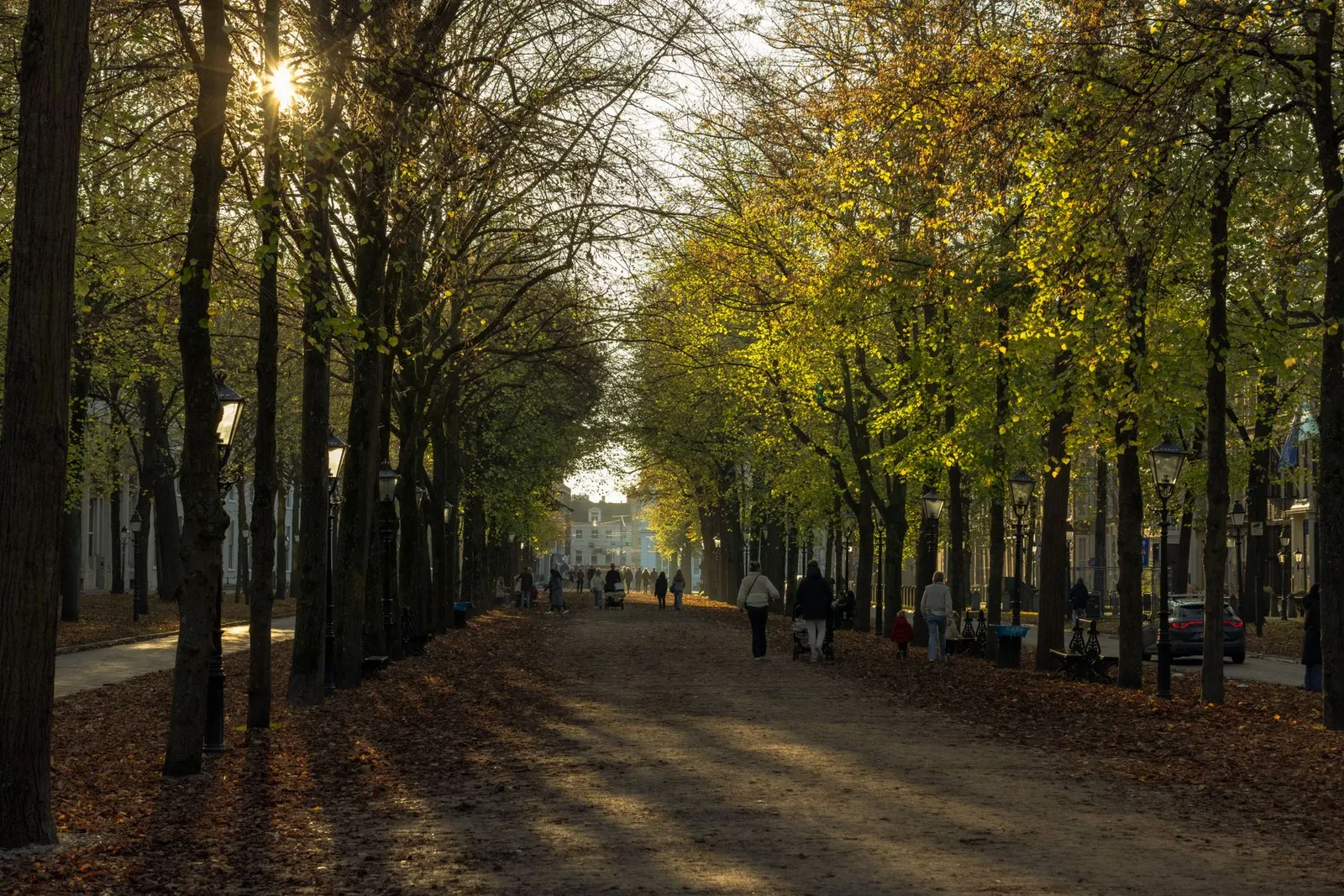 Scenic autumn view of a tree-lined avenue in The Hague with scattered pedestrians.