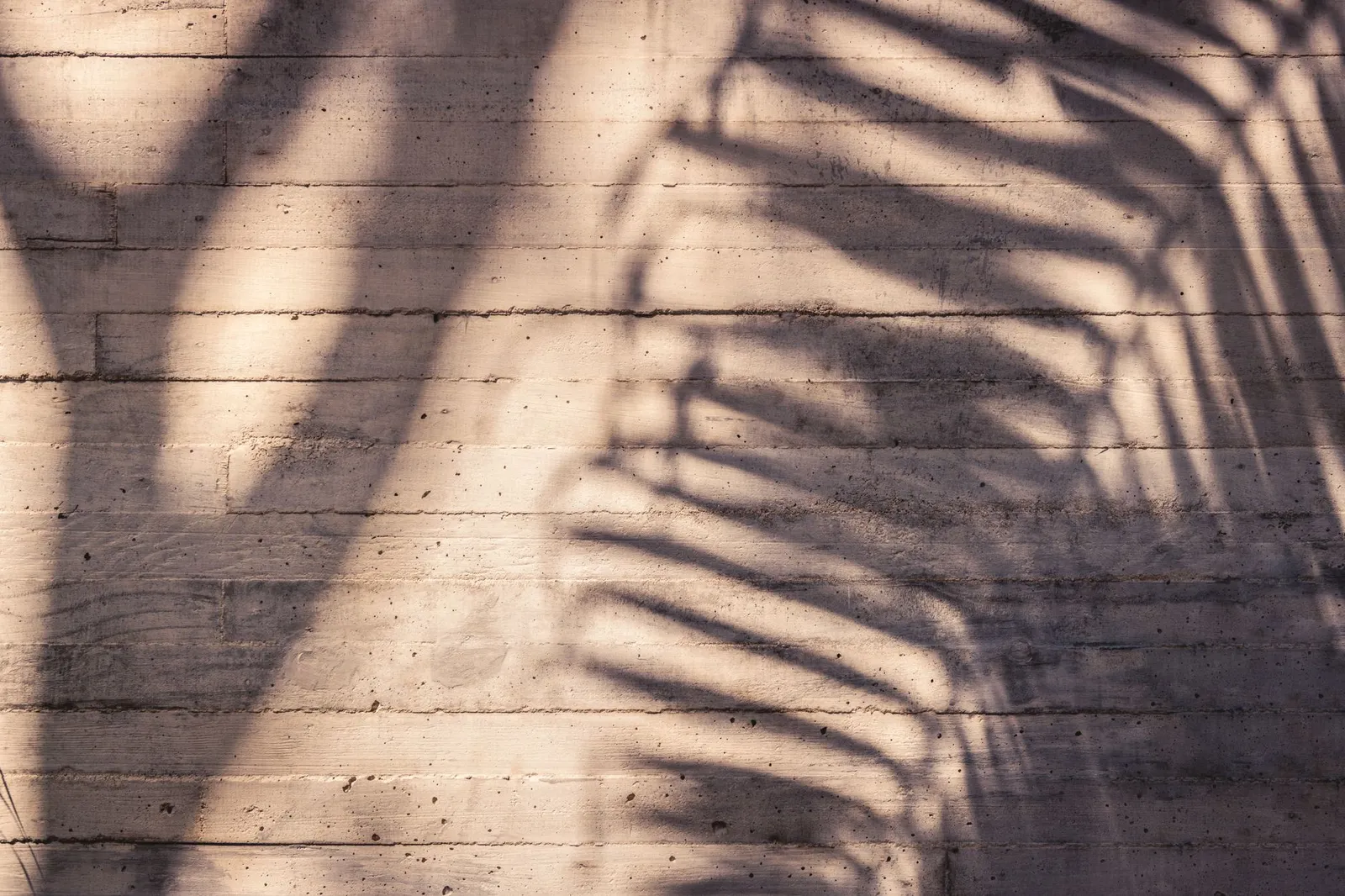 Shadows of palm leaves cast on a concrete wall in bright sunlight, Playa del Carmen, Mexico.