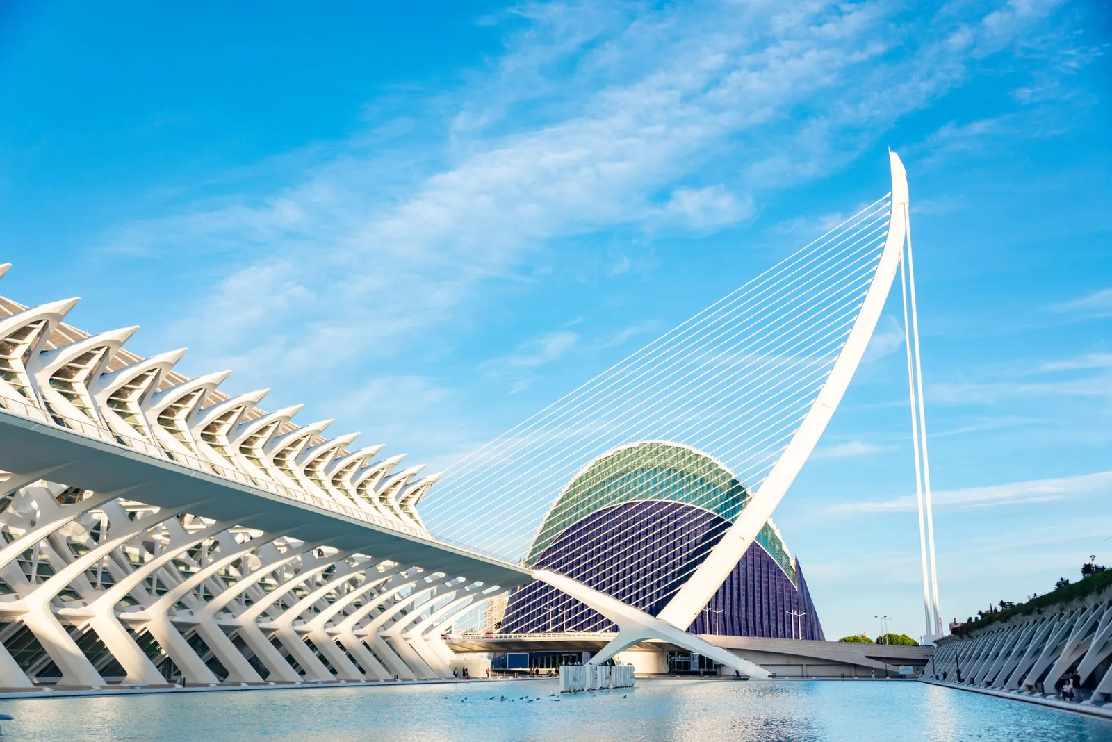 Explore the futuristic architecture of Valencia's City of Arts and Sciences on a bright day.